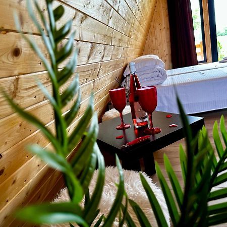 A-Frame Bucovina- Paradis Bucovinean Capu Cimpului Ngoại thất bức ảnh
