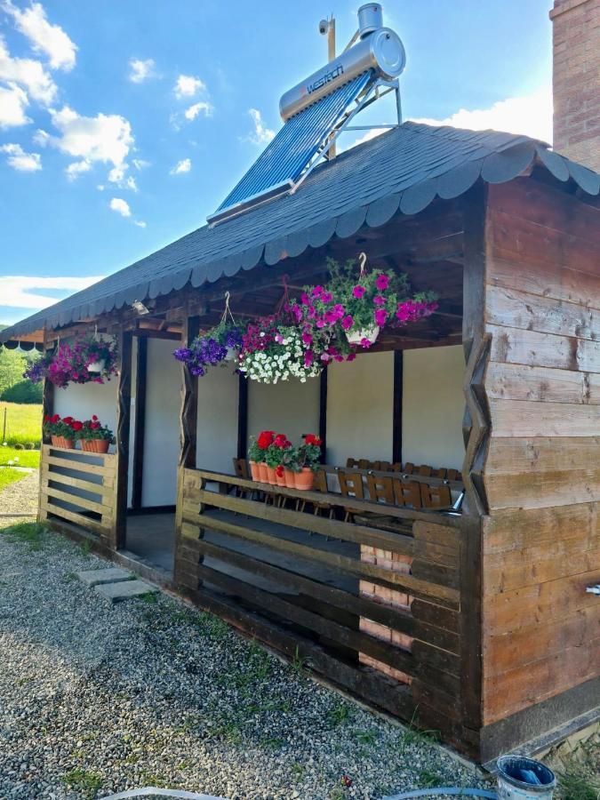 A-Frame Bucovina- Paradis Bucovinean Capu Cimpului Ngoại thất bức ảnh