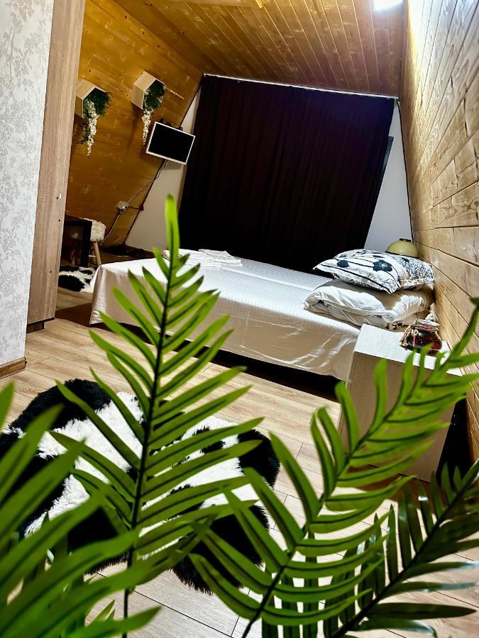 A-Frame Bucovina- Paradis Bucovinean Capu Cimpului Ngoại thất bức ảnh
