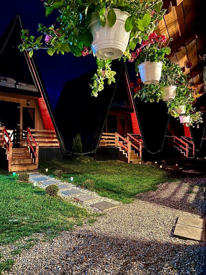 A-Frame Bucovina- Paradis Bucovinean Capu Cimpului Ngoại thất bức ảnh