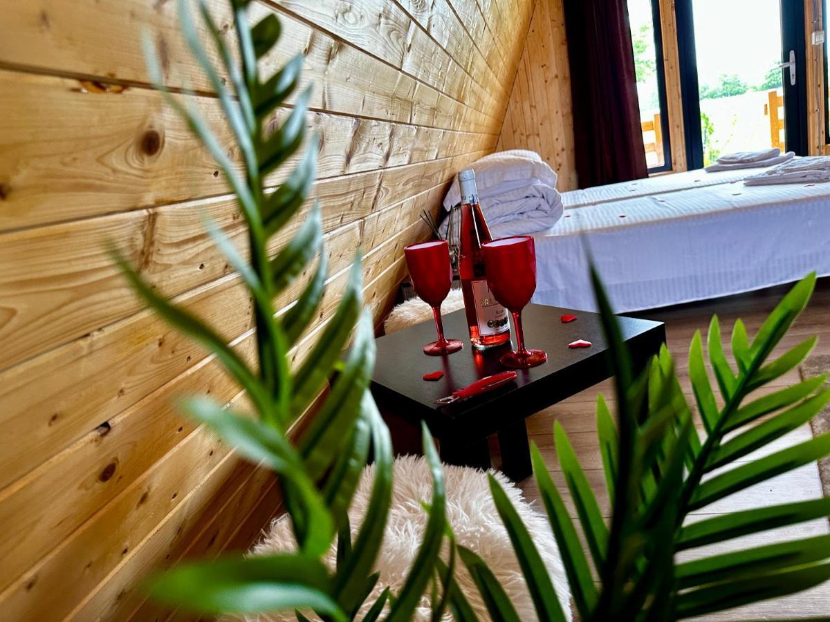 A-Frame Bucovina- Paradis Bucovinean Capu Cimpului Ngoại thất bức ảnh